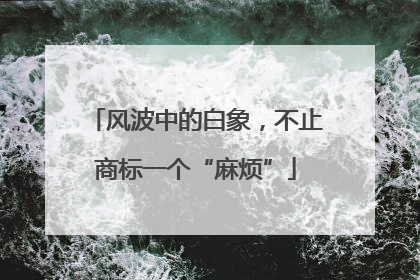 风波中的白象，不止商标一个“麻烦”