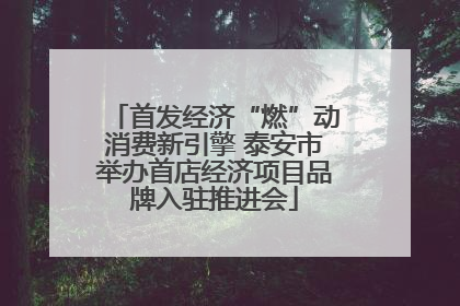 首发经济“燃”动消费新引擎 泰安市举办首店经济项目品牌入驻推进会