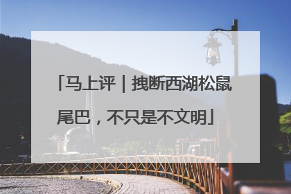 马上评｜拽断西湖松鼠尾巴，不只是不文明