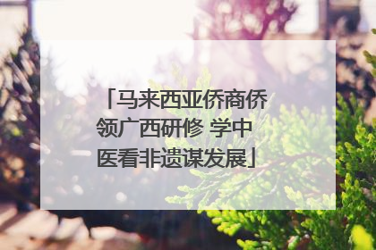 马来西亚侨商侨领广西研修 学中医看非遗谋发展