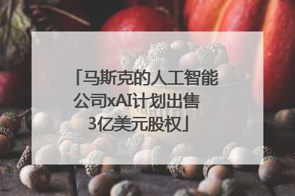 马斯克的人工智能公司xAI计划出售3亿美元股权