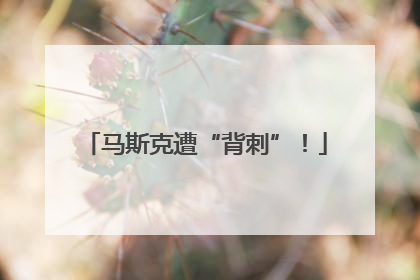 马斯克遭“背刺”！