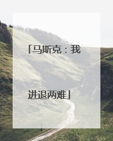 马斯克：我进退两难
