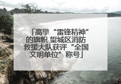 高擎“雷锋精神”的旗帜 望城区消防救援大队获评“全国文明单位”称号