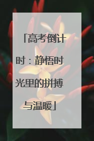 高考倒计时：静悟时光里的拼搏与温暖