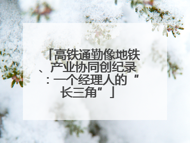 高铁通勤像地铁、产业协同创纪录：一个经理人的“长三角”