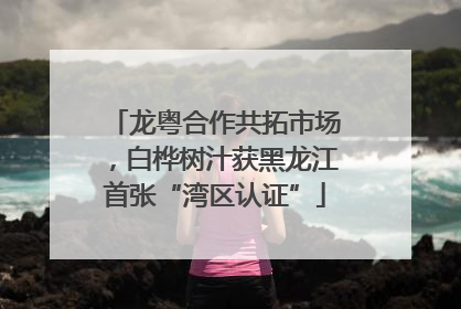 龙粤合作共拓市场，白桦树汁获黑龙江首张“湾区认证”