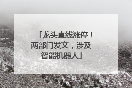 龙头直线涨停！两部门发文，涉及智能机器人