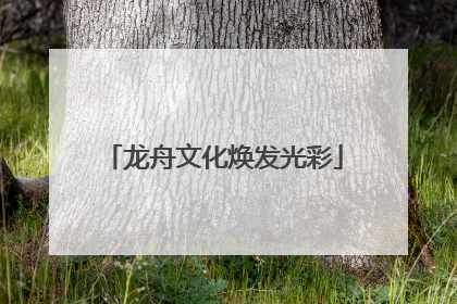 龙舟文化焕发光彩