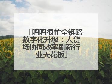 鸣鸣很忙全链路数字化升级：人货场协同效率刷新行业天花板