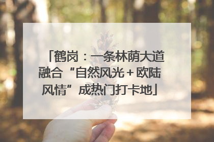 鹤岗：一条林荫大道融合“自然风光＋欧陆风情”成热门打卡地