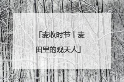麦收时节丨麦田里的观天人