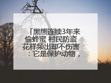 黑熊连续3年来偷蜂蜜 村民防盗花样频出却不伤害：它是保护动物，我有保险兜底