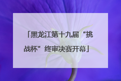 黑龙江第十九届“挑战杯”终审决赛开幕