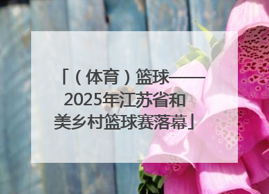 （体育）篮球——2025年江苏省和美乡村篮球赛落幕