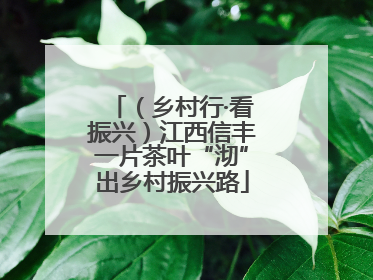 （乡村行·看振兴）江西信丰一片茶叶“沏”出乡村振兴路