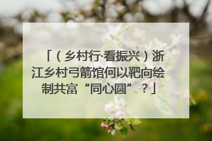 （乡村行·看振兴）浙江乡村弓箭馆何以靶向绘制共富“同心圆”？