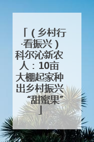 （乡村行·看振兴）科尔沁新农人：10亩大棚起家种出乡村振兴“甜蜜果”