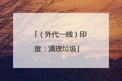 （外代一线）印度：清理垃圾