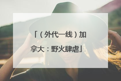 （外代一线）加拿大：野火肆虐