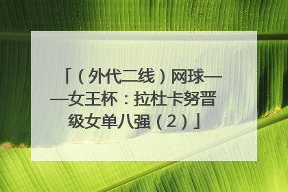 （外代二线）网球——女王杯：拉杜卡努晋级女单八强（2）
