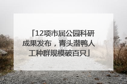12项市属公园科研成果发布，青头潜鸭人工种群规模破百只