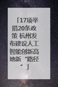 17项举措20条政策 杭州发布建设人工智能创新高地新“路径”