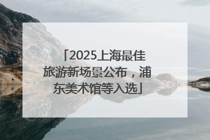 2025上海最佳旅游新场景公布，浦东美术馆等入选