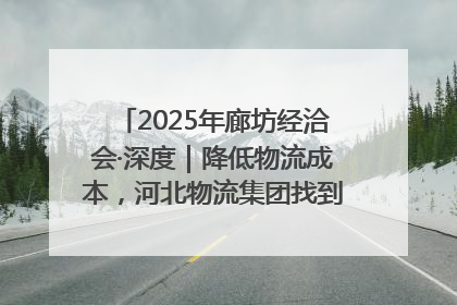 2025年廊坊经洽会·深度｜降低物流成本，河北物流集团找到一把“金钥匙”