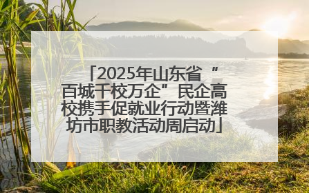 2025年山东省“百城千校万企”民企高校携手促就业行动暨潍坊市职教活动周启动