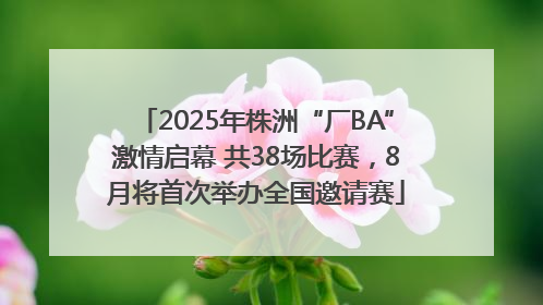 2025年株洲“厂BA”激情启幕 共38场比赛，8月将首次举办全国邀请赛
