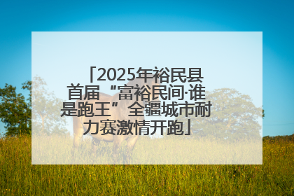 2025年裕民县首届“富裕民间·谁是跑王”全疆城市耐力赛激情开跑