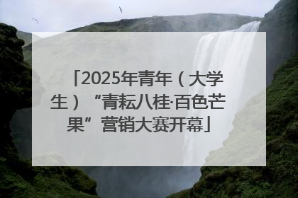 2025年青年（大学生）“青耘八桂·百色芒果”营销大赛开幕