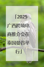2025广西跨境电商推介会在泰国曼谷举行
