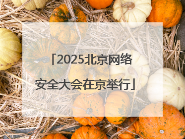 2025北京网络安全大会在京举行