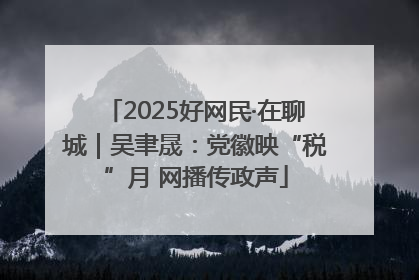 2025好网民·在聊城｜吴聿晟：党徽映“税”月 网播传政声