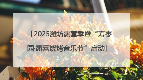 2025潍坊露营季暨“寿枣园·露营烧烤音乐节”启动