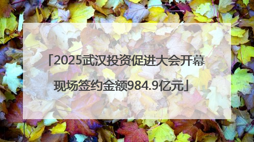 2025武汉投资促进大会开幕 现场签约金额984.9亿元