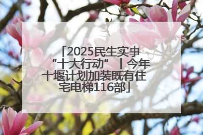 2025民生实事“十大行动”丨今年十堰计划加装既有住宅电梯116部