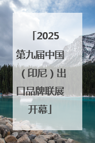 2025第九届中国（印尼）出口品牌联展开幕