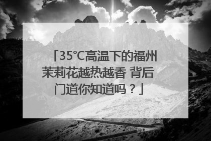 35℃高温下的福州茉莉花越热越香 背后门道你知道吗？