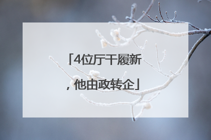 4位厅干履新，他由政转企