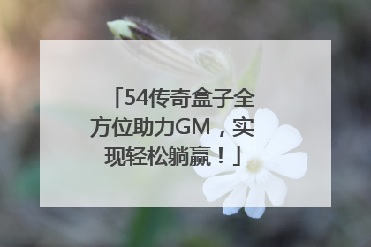 54传奇盒子全方位助力GM，实现轻松躺赢！
