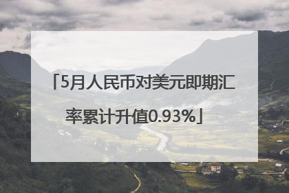 5月人民币对美元即期汇率累计升值0.93%