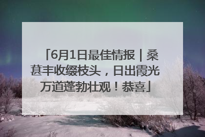 6月1日最佳情报｜桑葚丰收缀枝头，日出霞光万道蓬勃壮观！恭喜
