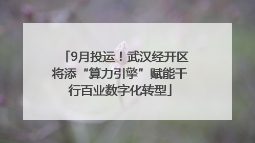 9月投运！武汉经开区将添“算力引擎”赋能千行百业数字化转型