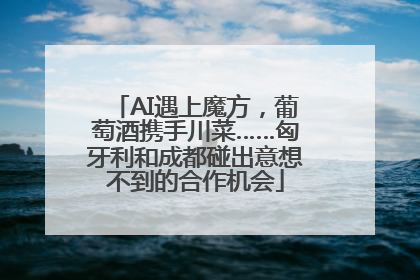 AI遇上魔方，葡萄酒携手川菜……匈牙利和成都碰出意想不到的合作机会