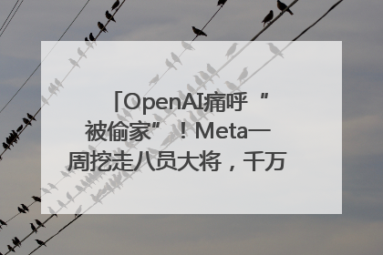 OpenAI痛呼“被偷家”！Meta一周挖走八员大将，千万美元薪酬战开打