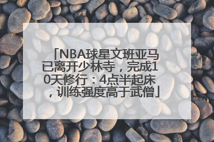 NBA球星文班亚马已离开少林寺，完成10天修行：4点半起床，训练强度高于武僧